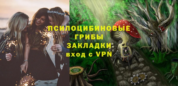 ПСИЛОЦИБИНОВЫЕ ГРИБЫ Красноперекопск
