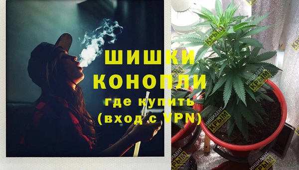 MESCALINE Коряжма